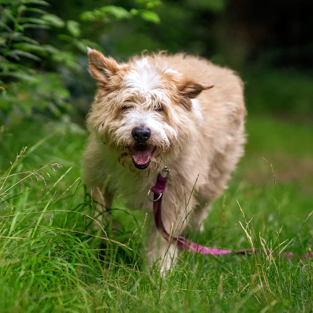 Podsumowanie roku 2020