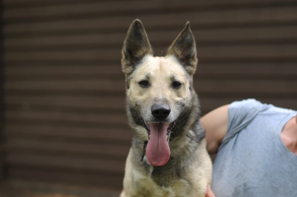 Podsumowanie roku 2020