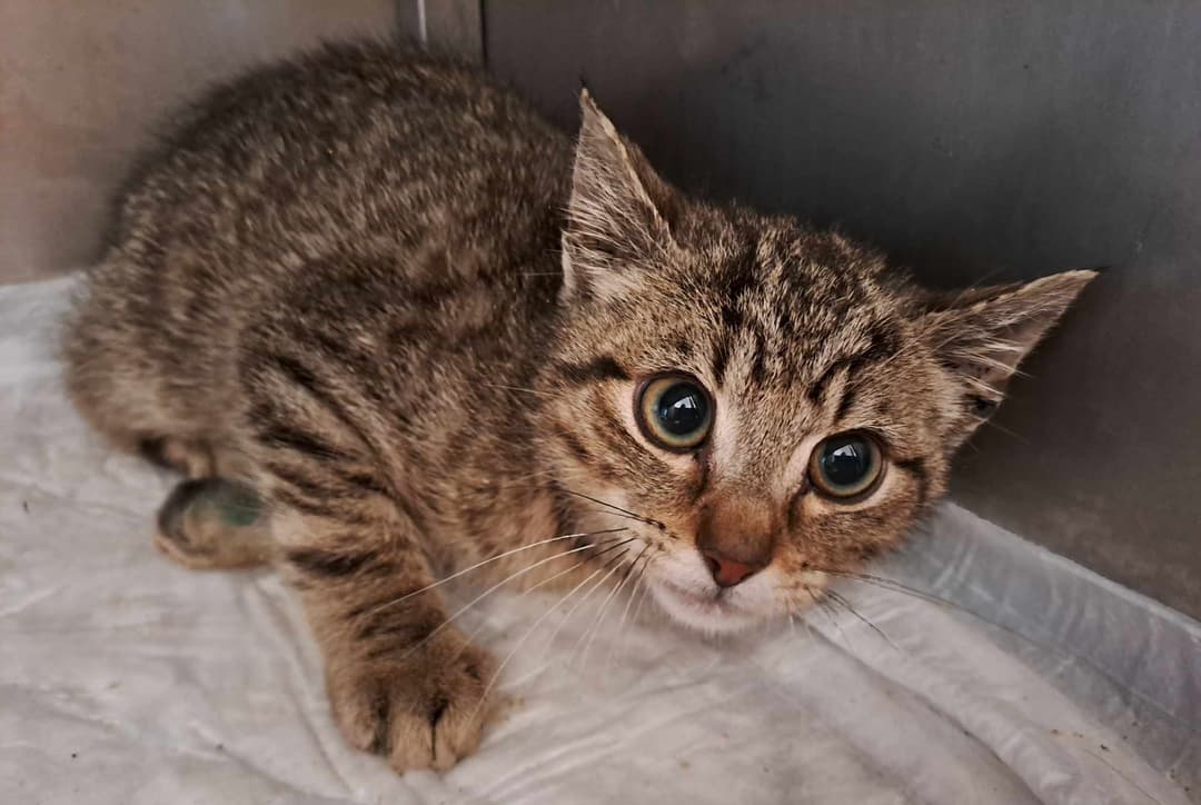 Podsumowanie roku 2020