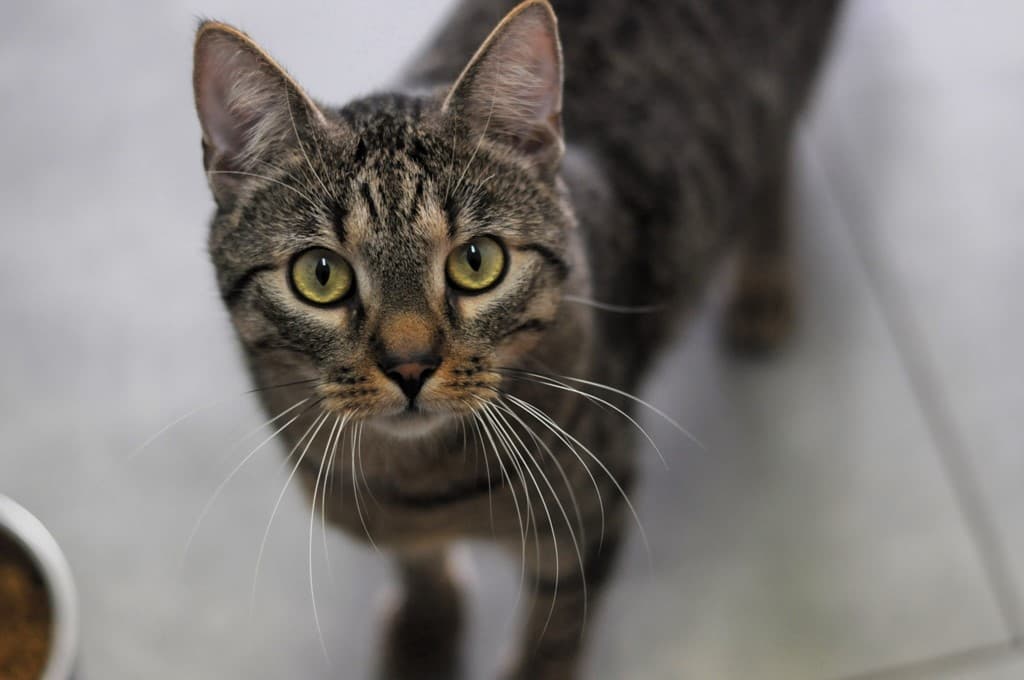 Podsumowanie roku ${item.rok}