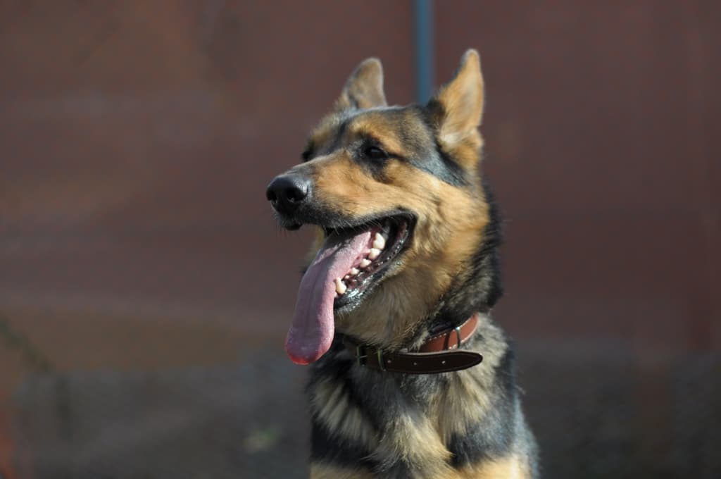 Podsumowanie roku 2020